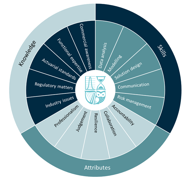 SAI Competency Framework