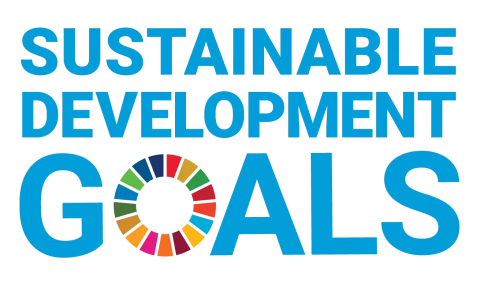 Corporate Impact on the UN Sustainable Development Goals