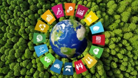 UN Sustainable Development Goals